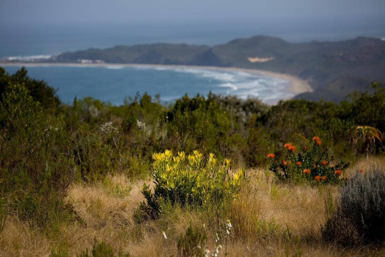 Alkira Lodge Brenton-on-Sea Bagian luar foto